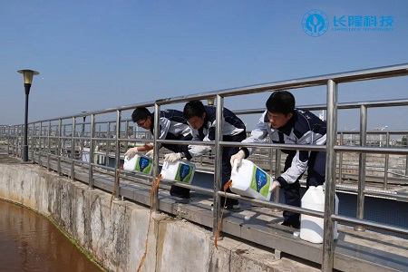 復合碳源101+庫巴魯總氮激活菌101+技術(shù)調(diào)試