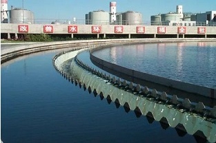 反硝化浮泥該如何預(yù)防？你知道嗎？