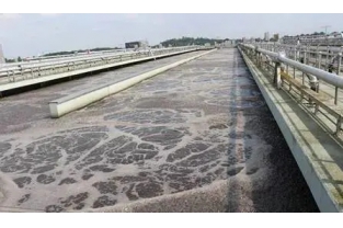 【重要】水中溶解氧越高，處理效果越好么？