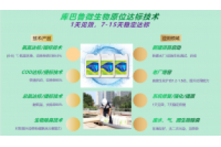 春節(jié)復(fù)工，生化系統(tǒng)快速修復(fù)，確保污水達(dá)標(biāo)排放